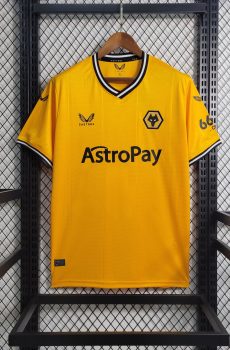 Wolves 2023/2024